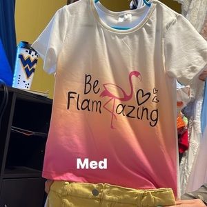 3 pieces. Short sets. All flamingos. Medium (4t-5)